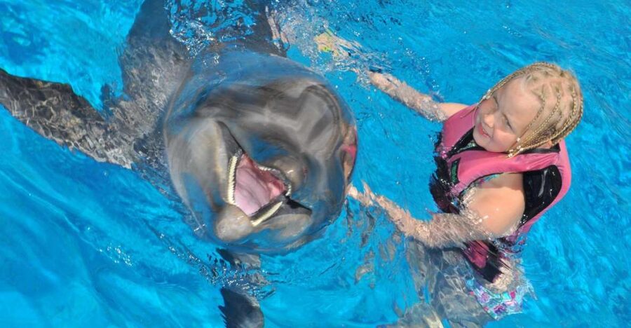 Alanya: Dolphin and Seal Show Ticket with Hotel Transfers - Key points to know before booking
