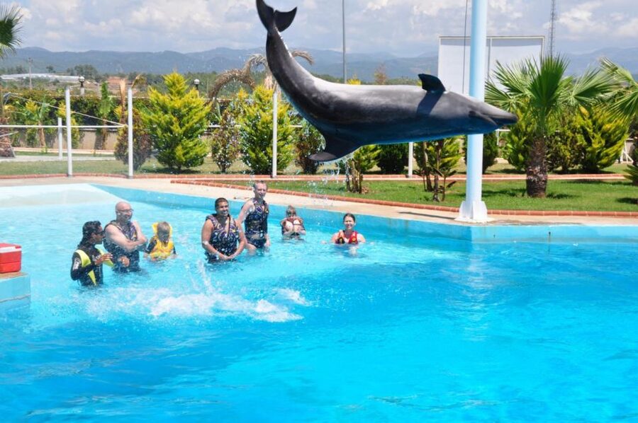 Alanya: Dolphin and Seal Show Ticket with Hotel Transfers - Booking, cancellation, and timing