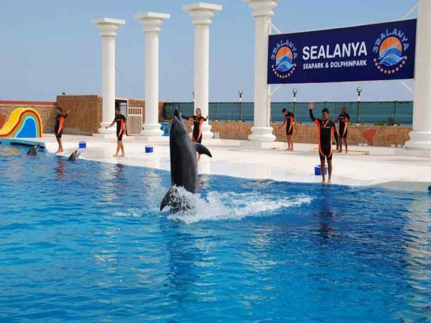 Alanya: Dolphin and Seal Show Ticket with Hotel Transfers - Dolphins, seals, and a compact afternoon out