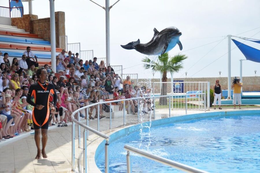 Alanya: Dolphin and Seal Show Ticket with Hotel Transfers - Getting there from an Alanya hotel