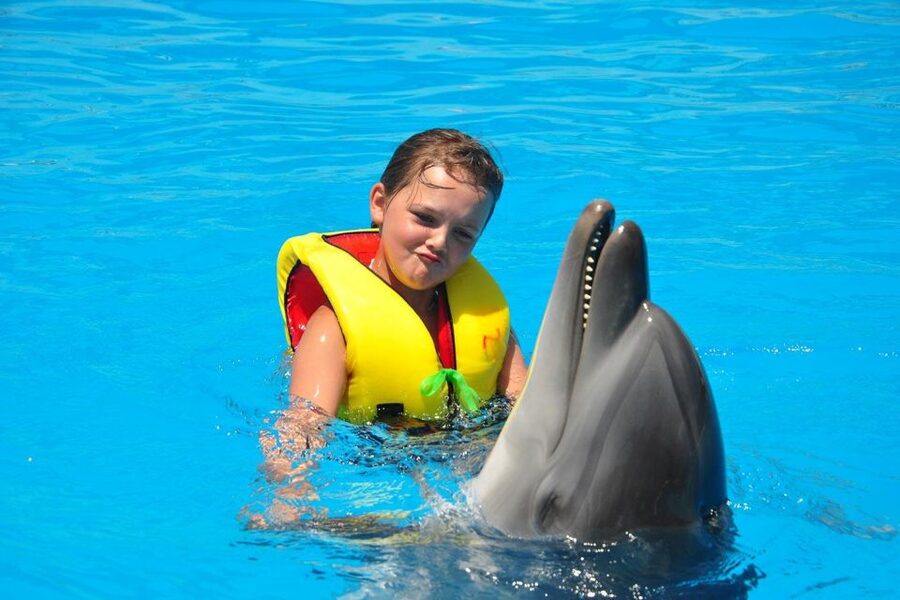 Alanya: Dolphin and Seal Show Ticket with Hotel Transfers - What the educational side adds
