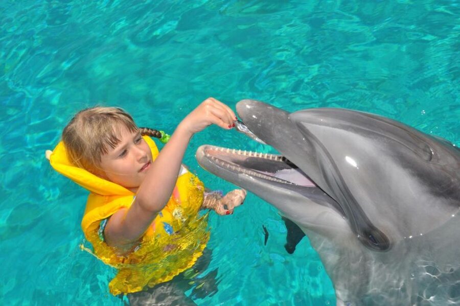 Alanya: Dolphin and Seal Show Ticket with Hotel Transfers - Families, couples, and independent visitors