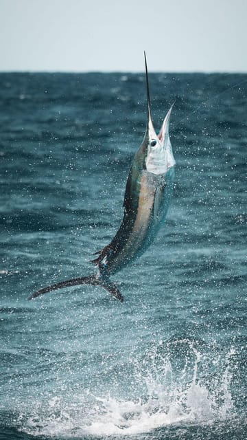 Alanya: Fishing Tour with Equipment and Lunch - What the fishing session is really like