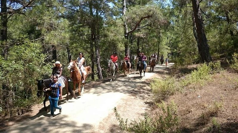 Alanya: Horse Riding Adventure - Key points to know before booking