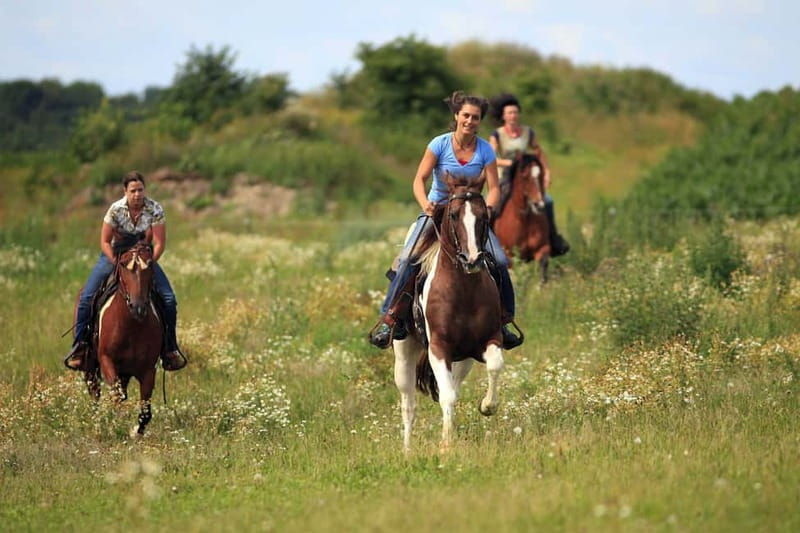Alanya: Horse Riding Adventure - Riding Toward the Taurus Mountains