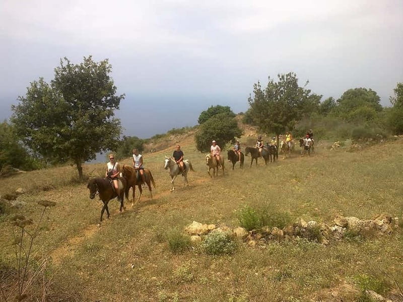 Alanya: Horse Riding Adventure - Who Will Enjoy This Ride Most