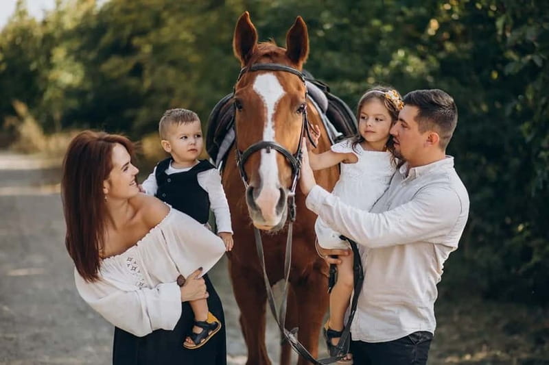 Alanya: Horse Riding Tour with Hotel Transfers - Meeting the horses and learning the basics