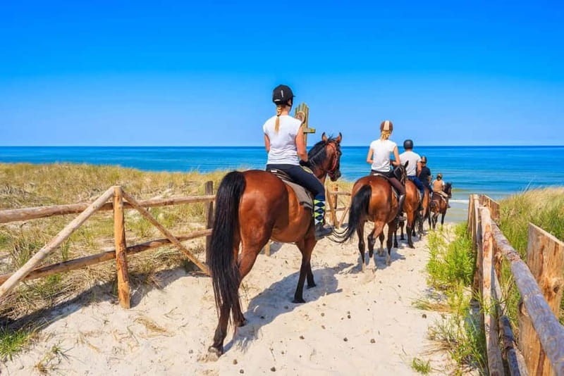 Alanya: Horse Riding Tour with Hotel Transfers - Seeing the ruins of Ancient Syedra