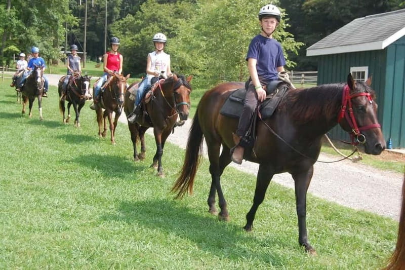 Alanya: Horse Riding Tour with Hotel Transfers - Languages, group size, and booking details