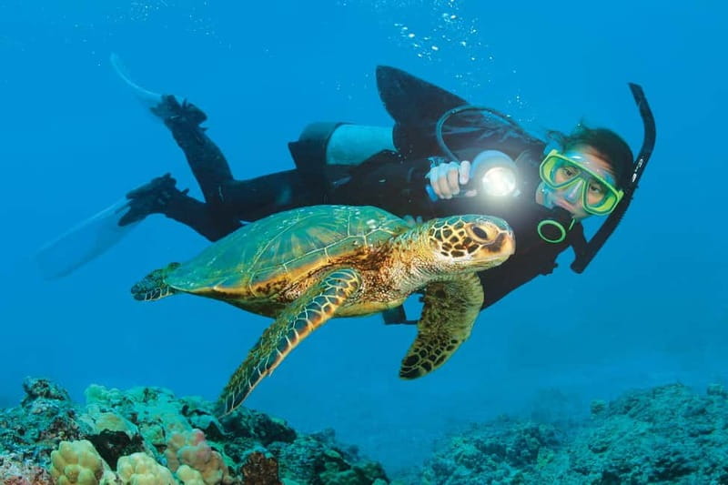 Alanya: Scuba Diving Adventure for Beginners & Professionals - Key Points Before You Book