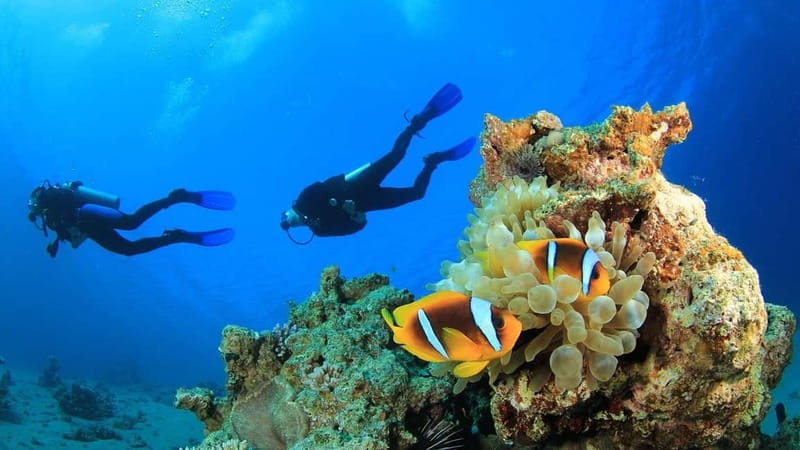 Alanya: Scuba Diving Adventure for Beginners & Professionals - Who Will Enjoy This Alanya Outing Most