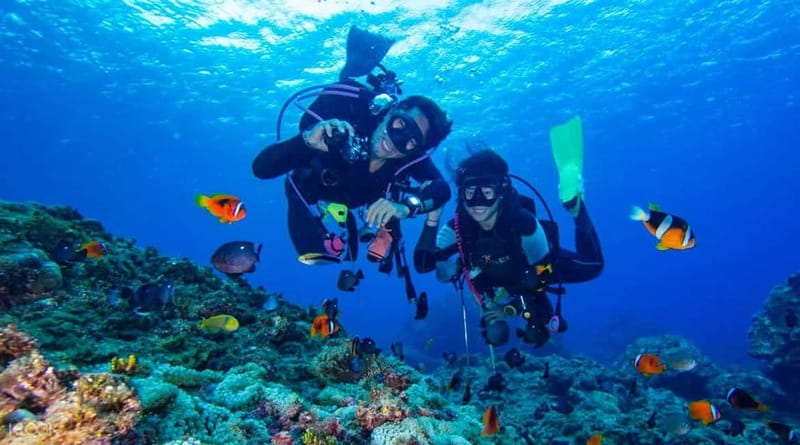 Alanya: Scuba Diving Adventure for Beginners & Professionals - Starting With Hotel Pickup and a Health Check
