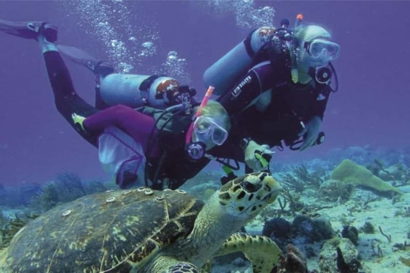 Alanya: Scuba Diving Adventure for Beginners & Professionals - Lunch on Board and a Welcome Midday Pause