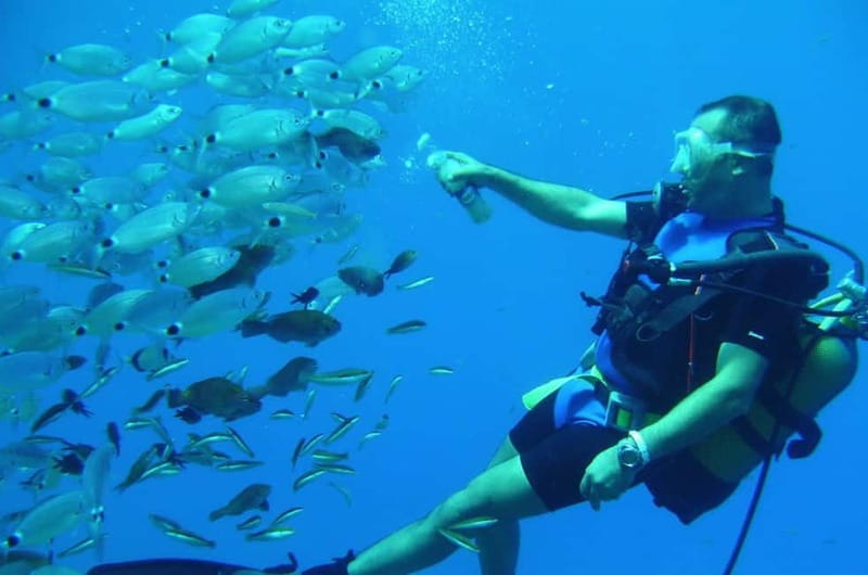 Alanya: Scuba Diving Adventure for Beginners & Professionals - What the $51 Price Really Includes