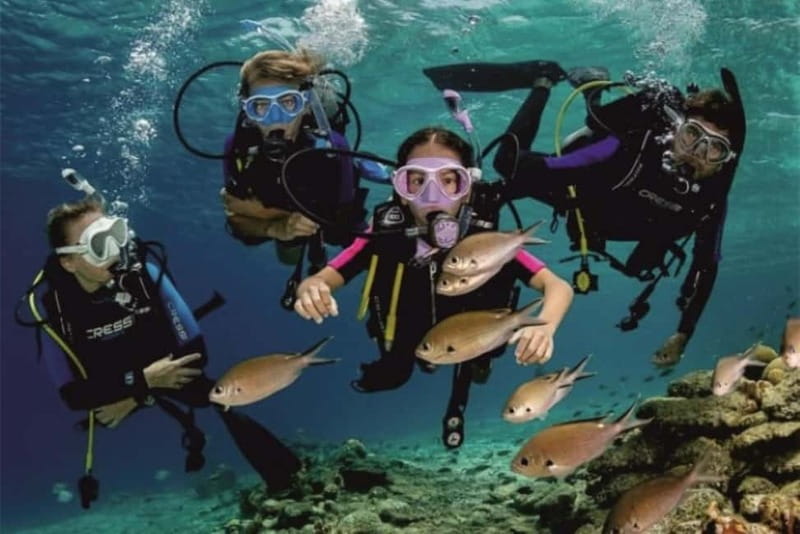 Alanya: Scuba Diving Adventure for Beginners & Professionals - Weather, Water Temperature, and Sea Life