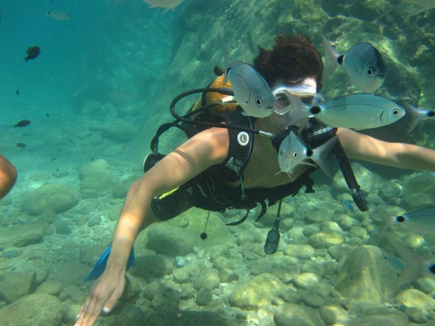 Alanya: Scuba Diving Experience with Lunch - From your Alanya hotel to the marina