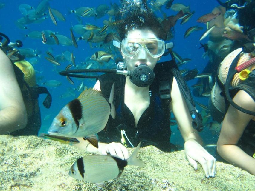 Alanya: Scuba Diving Experience with Lunch - The second session and the real value of the day