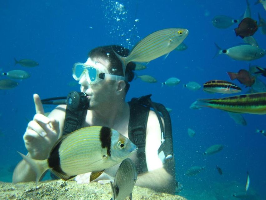 Alanya: Scuba Diving Experience with Lunch - Should you book it?