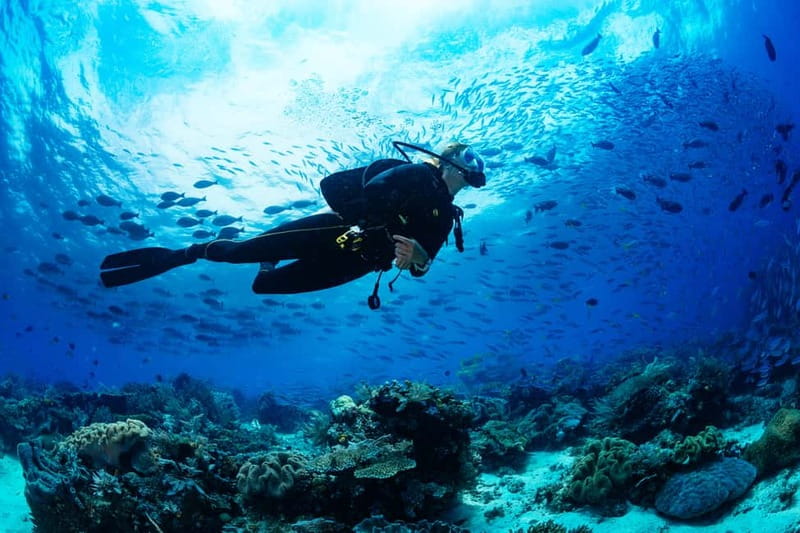 Alanya: Scuba Diving Tour With Lunch - Key points to know before booking