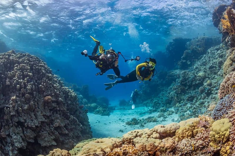 Alanya: Scuba Diving Tour with Lunch and Hotel Transfers - What your day near Alanya Castle looks like