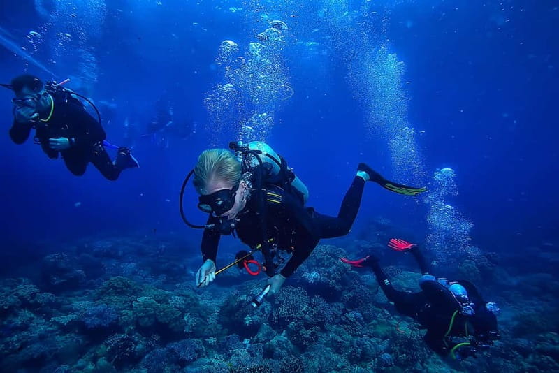 Alanya: Scuba Diving Tour with Lunch and Hotel Transfers - The first session keeps things friendly for beginners