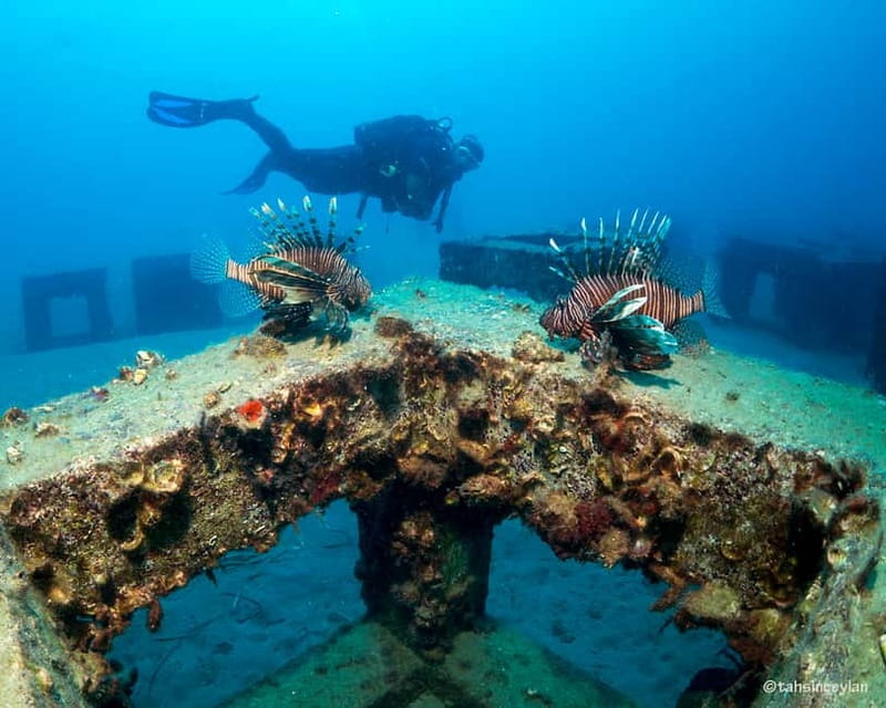 Alanya: Scuba Diving Tour with Lunch and Hotel Transfers - FAQ