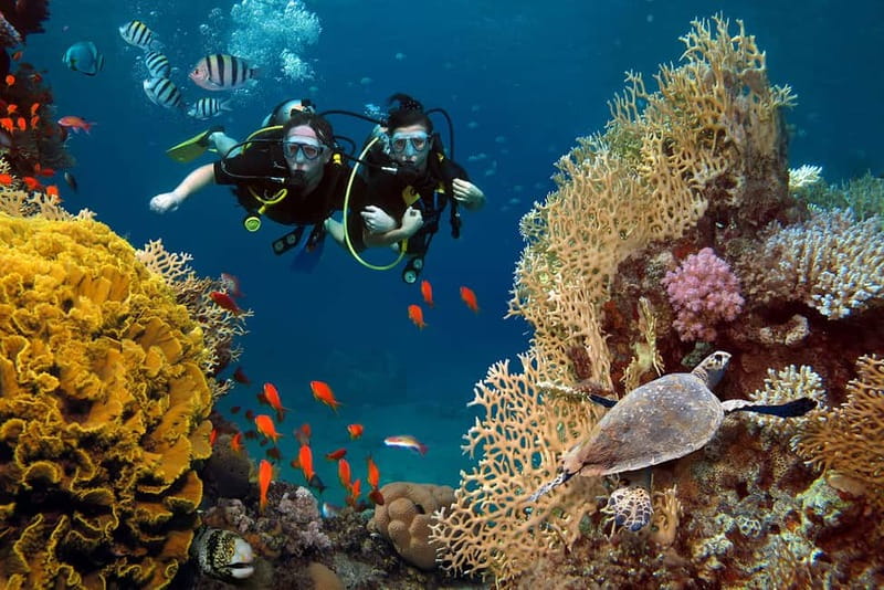 Alanya: Scuba Diving Tour with Lunch and Hotel Transfers - Lunch, swimming, and sun between sessions