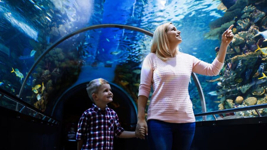 Antalya: Aquarium and Wax Museum Entry Ticket - Starting with Antalya’s five-million-liter underwater tunnel