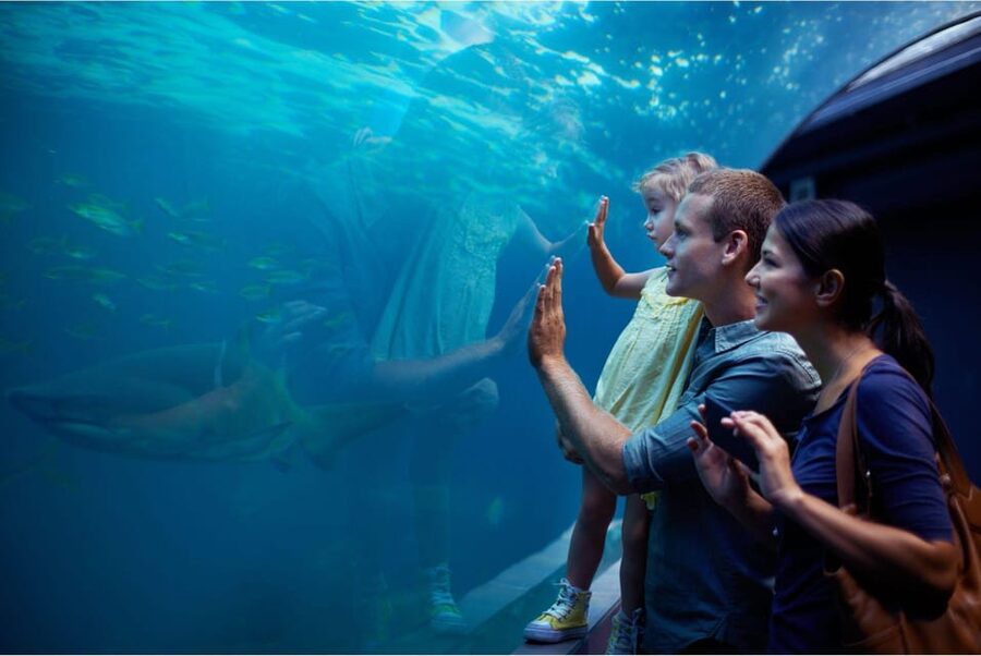 Antalya: Aquarium and Wax Museum Entry Ticket - Themed zones that turn fish tanks into a story