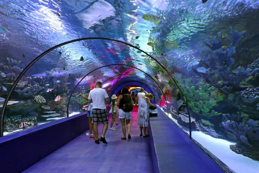 Antalya: Aquarium and Wax Museum Entry Ticket - XD Cinema, Snow World, and the other paid additions