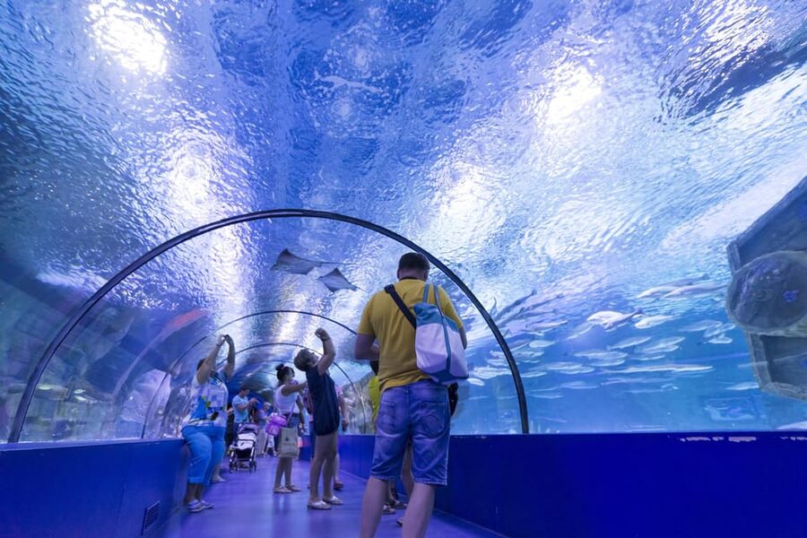 Antalya: Aquarium and Wax Museum Entry Ticket - Who will enjoy this combo ticket most?