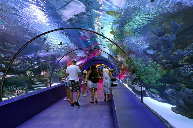 Antalya: Aquarium, Wax Museum, Snow World, Wild Park - Oceanride XD Cinema and the photo stops