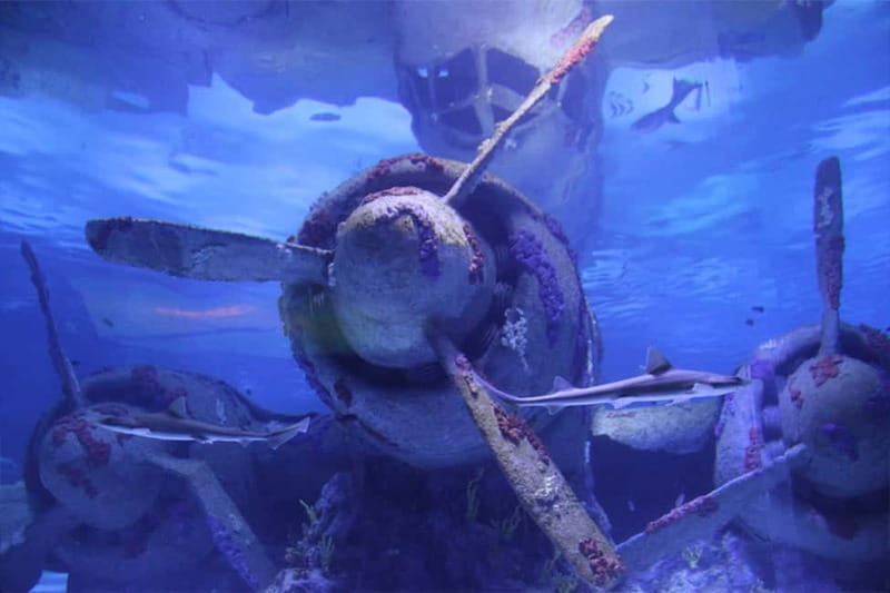 Antalya: Aquarium, Wax Museum, Snow World, Wild Park - Wild Park and the tropical reptile house