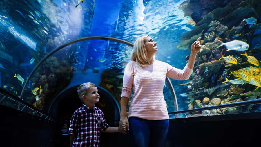 Antalya: Aquarium, Wax Museum, Snow World, Wild Park - Starting at Antalya Aquarium