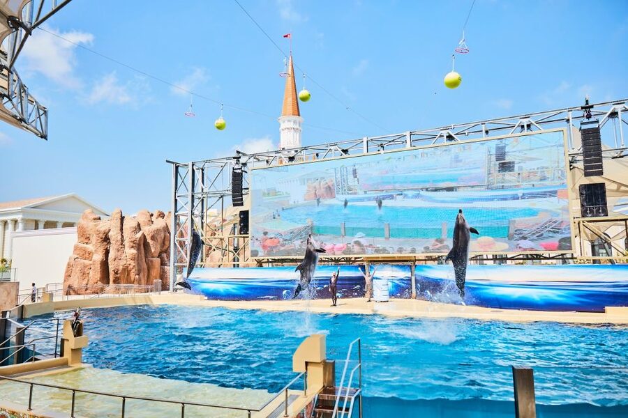 Antalya/Belek: The Land of Legends Theme Park with Transfer - What to bring and what to expect