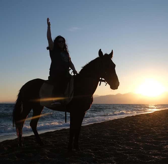 Antalya: Horseback Riding on the Beach and in the Forest - The ranch, horses, and safety routine