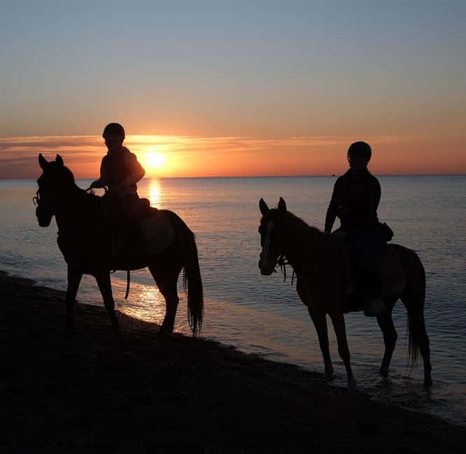 Antalya: Horseback Riding on the Beach and in the Forest - Price and what you get for $65