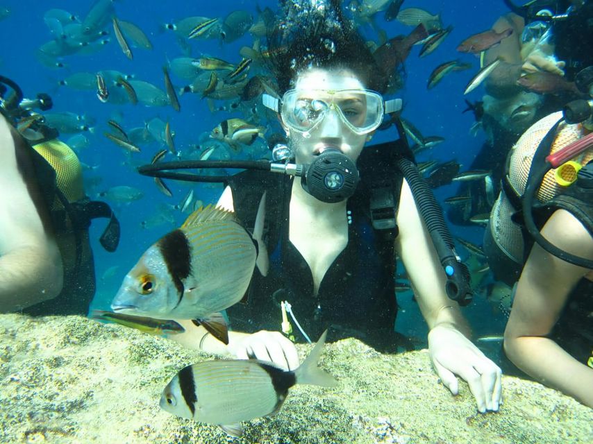 Antalya/Kemer: Scuba Diving Experience with Lunch & Pick up - From Kemer Marina to the Mediterranean bays