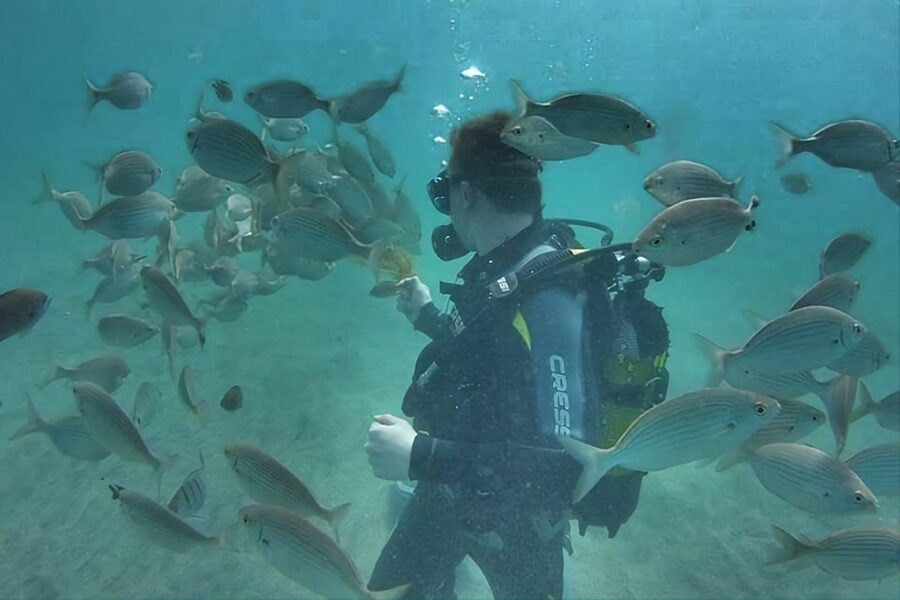 Antalya/Kemer: Scuba Diving Experience with Lunch & Pick up - How good is the value at $29?