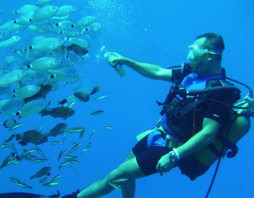 Antalya/Kemer: Scuba Diving with Pickup, Lunch, and 2 Dives - The Crew Is the Real Strength