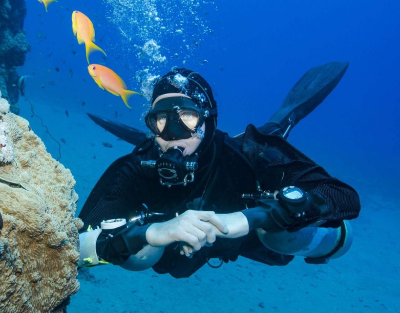 Antalya/Kemer: Scuba Diving with Pickup, Lunch, and 2 Dives - Non-Divers Can Still Enjoy the Boat