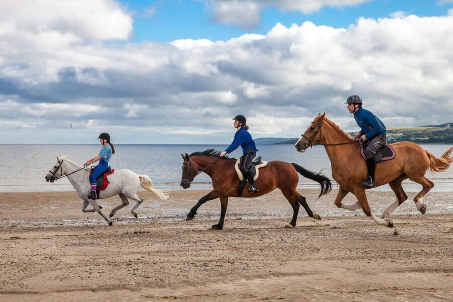 Antalya: Lara Beach & Forrest Horse Riding Safari - Is $58 a fair price?