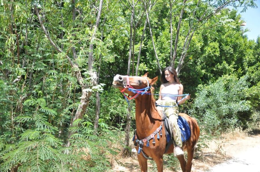 Antalya: Lara Beach & Forrest Horse Riding Safari - A closer look at the overall value