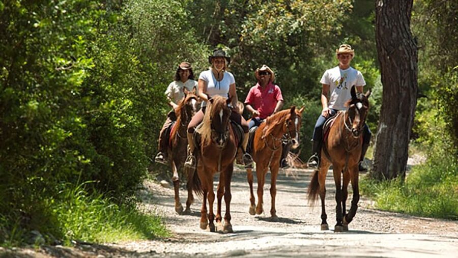 Antalya: Lara Beach & Forrest Horse Riding Safari - Should you book the Antalya Lara horse ride?