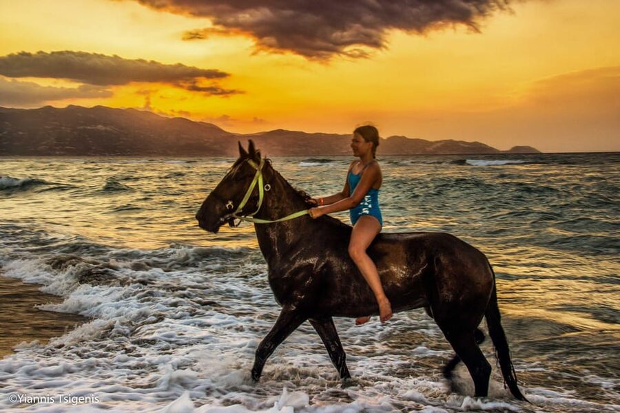 Antalya: Lara Beach & Forrest Horse Riding Safari - One hour through trees, farms, and quiet paths