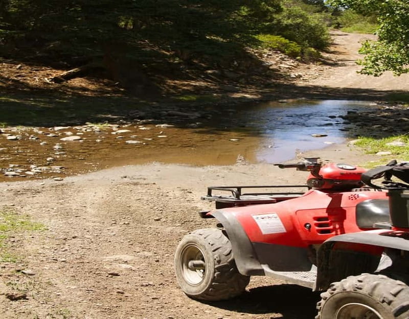 Antalya: Quad-Bike Excursion in Side Forest & Hotel Pick-Up - Is $44 a good price?