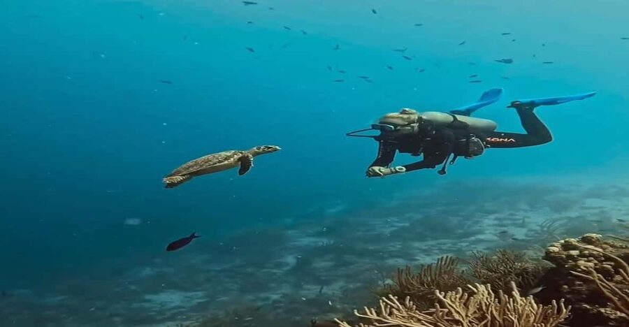 Antalya, Side and Alanya: Scuba Diving with Lunch & 2 Dives - What the day is really like from hotel pickup to the coast