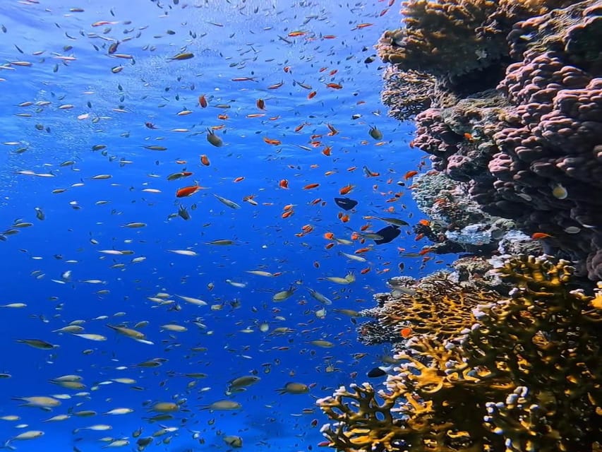 Antalya, Side and Alanya: Scuba Diving with Lunch & 2 Dives - The second session reaches 12 meters