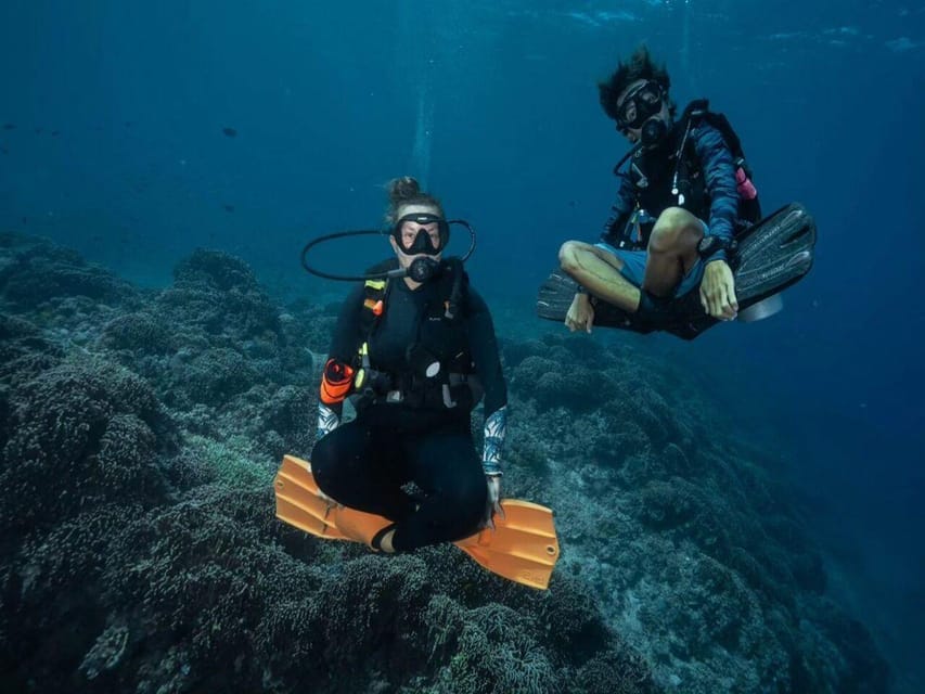 Antalya, Side and Alanya: Scuba Diving with Lunch & 2 Dives - How the $44 price works for your budget