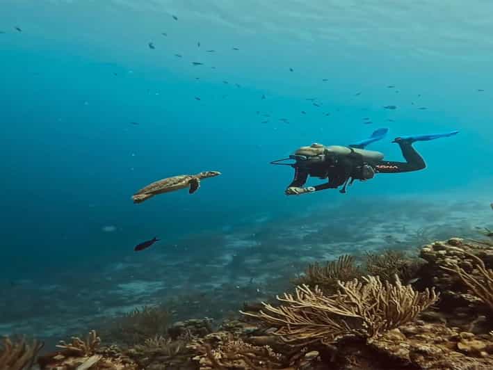 Antalya, Side and Alanya: Scuba Diving with Lunch & 2 Dives - The first 6-meter session is your confidence test